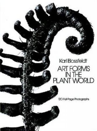 Art Forms in the Plant World by KARL BLOSSFELDT
