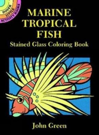 Marine Tropical Fish Stained Glass Coloring Book by JOHN GREEN