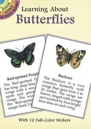 Learning About Butterflies by JAN SOVAK