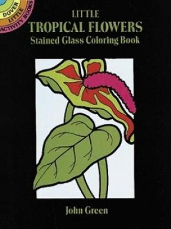 Little Tropical Flowers Stained Glass Coloring Book by JOHN GREEN