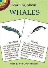 Learning About Whales