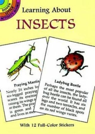 Learning About Insects by JAN SOVAK