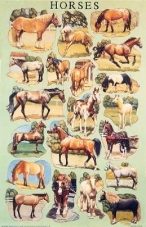 Horses Poster by DOVER