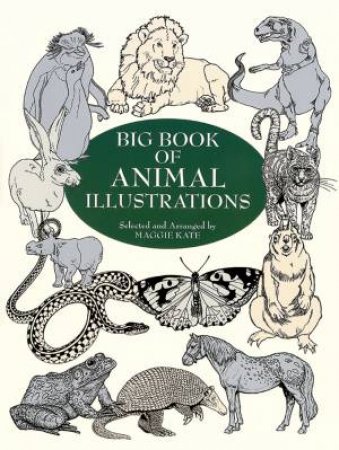 Big Book of Animal Illustrations by MAGGIE KATE