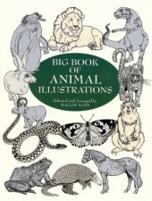 Big Book of Animal Illustrations