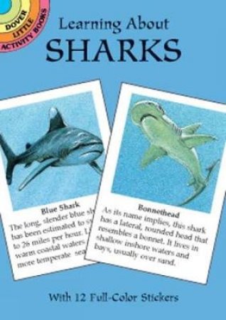 Learning About Sharks by JAN SOVAK