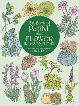 Big Book of Plant and Flower Illustrations by MAGGIE KATE