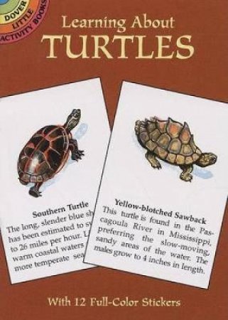 Learning About Turtles by JAN SOVAK