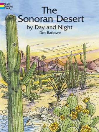 Sonoran Desert by Day and Night by DOT BARLOWE