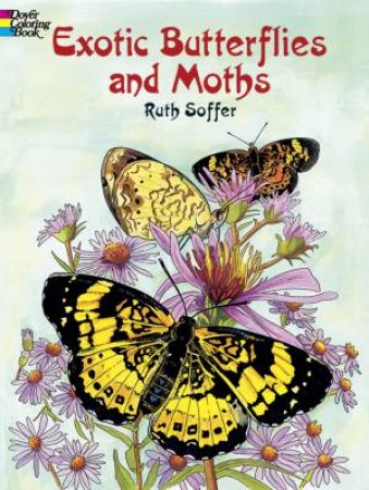 Exotic Butterflies and Moths by RUTH SOFFER