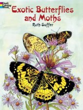 Exotic Butterflies and Moths