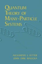 Quantum Theory of ManyParticle Systems