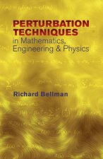 Perturbation Techniques in Mathematics Engineering and Physics