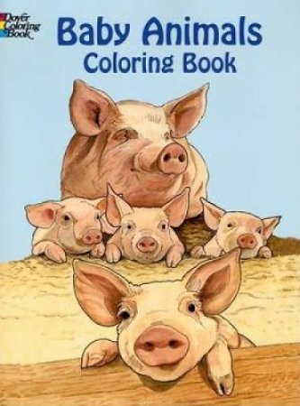 Baby Animals Coloring Book by RUTH SOFFER