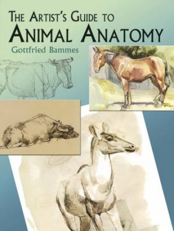 The Artist's Guide To Animal Anatomy by Gottfried Bammes