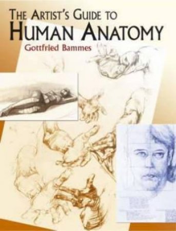 The Artist's Guide To Human Anatomy by Gottfried Bammes