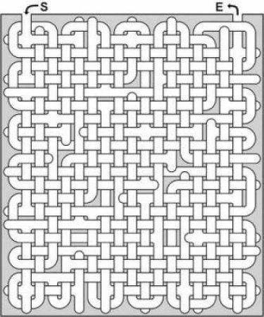 Ultimate Maze Book