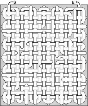 Ultimate Maze Book by GALEN WADZINSKI
