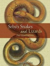 Sebas Snakes and Lizards
