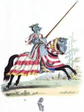 Meyricks Medieval Knights and Armour