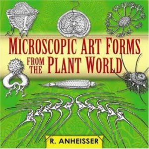 Microscopic Art Forms from the Plant World by R. ANHEISSER