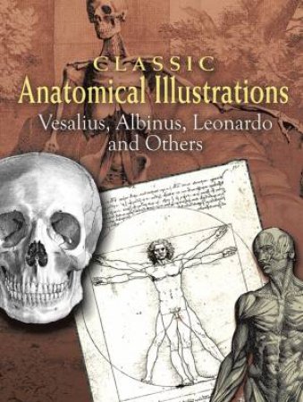 Classic Anatomical Illustrations by VESALIUS