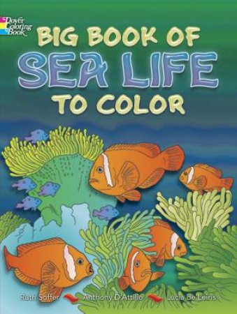 Big Book of Sea Life to Color by RUTH SOFFER