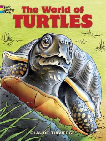 World of Turtles by CLAUDE THIVIERGE
