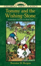 Tommy And The WishingStone