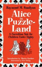 Alice in PuzzleLand