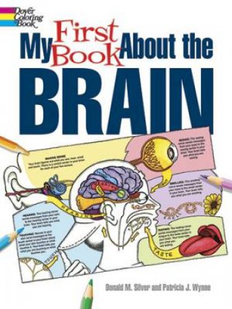My First Book About The Brain by Donald M. Silver & Patricia J. Wynne