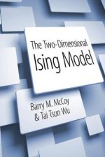 TwoDimensional Ising Model