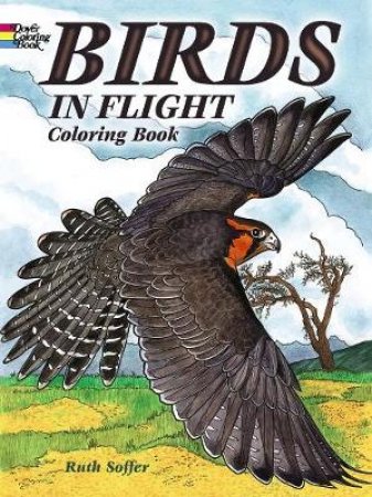 Birds in Flight Coloring Book by RUTH SOFFER