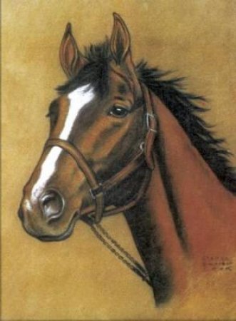 Horse Notebook by DOVER