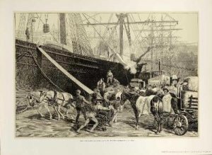 NY Dock Stevedore Poster by DOVER