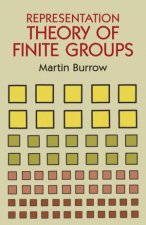 Representation Theory of Finite Groups