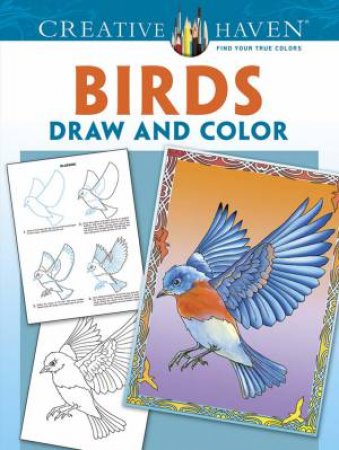 Creative Haven Birds Draw and Color by MARTY NOBLE