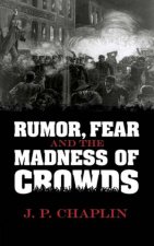 Rumor Fear and the Madness of Crowds