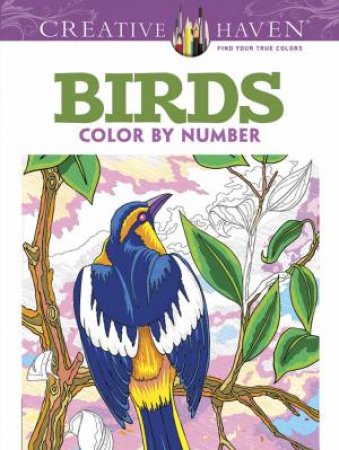 Creative Haven Birds Color by Number Coloring Book by GEORGE TOUFEXIS