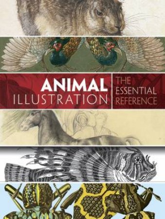 Animal Illustration: The Essential Reference by CAROL BELANGER GRAFTON