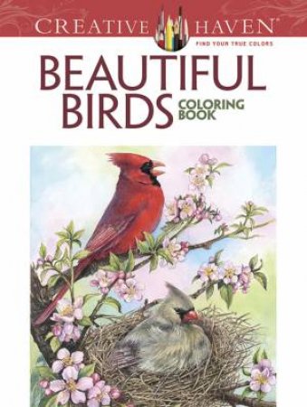 Creative Haven Beautiful Birds Coloring Book by DOT BARLOWE