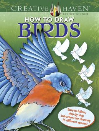 Creative Haven How to Draw Birds by MARTY NOBLE