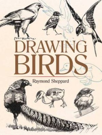 Drawing Birds by Raymond Sheppard