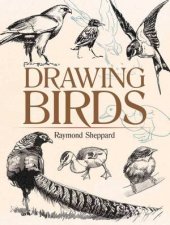 Drawing Birds