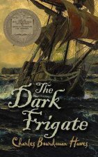 Dark Frigate