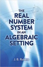 The Real Number System In An Algebraic Setting