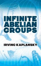 Infinite Abelian Groups