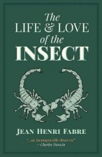 Life And Love Of The Insect