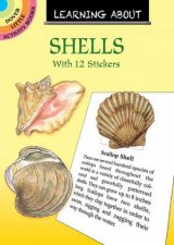 Learning About Seashells