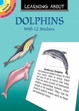 Learning About Dolphins